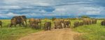 aanbieding-safari-tanzania